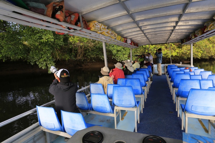 daintree rainforest river cruise