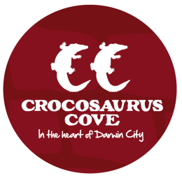Crocosaurus Cove | Swim with a Crocodile