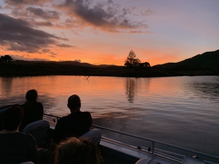 daintree river electric boat cruises