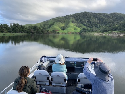 daintree river electric boat cruises