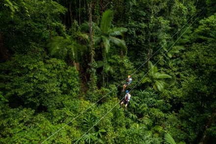 self guided tour daintree rainforest