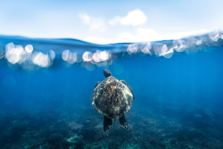 cairns tours afterpay