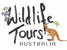 Litchfield National Park & Wetlands Tour