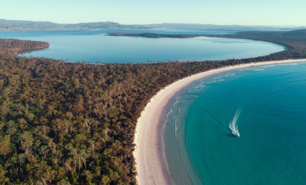 maria island tour hobart