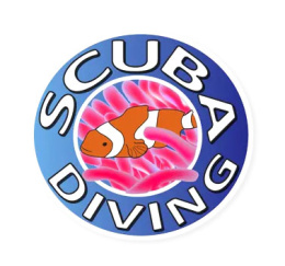 PADI Scuba Diver Course