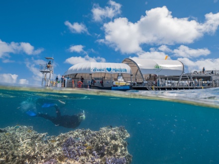 tours in airlie beach