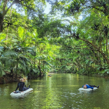 rainforest tours cairns