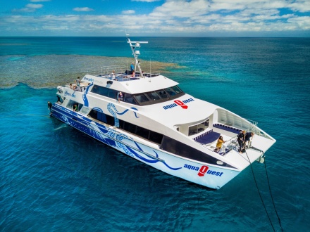 barrier reef tours out of cairns