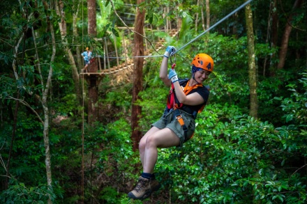 rainforest tours cairns