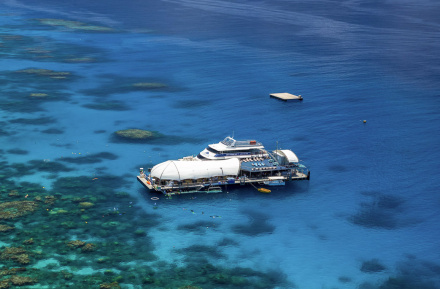 reef trip from cairns