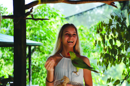 kuranda skyrail scenic railway and rainforestation day tour