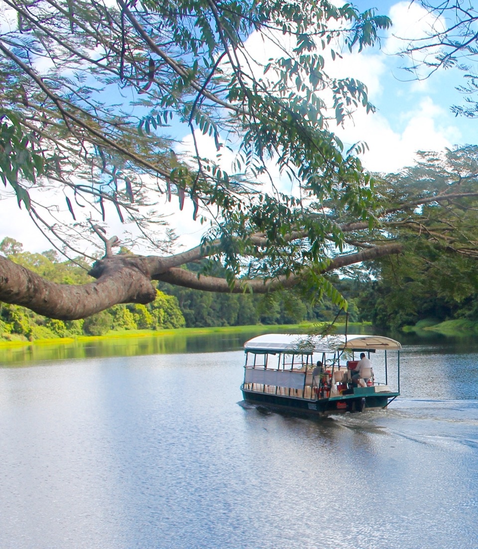 riverboat cruise kuranda