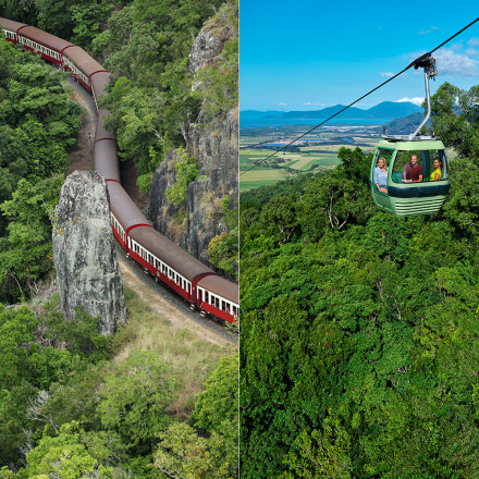 rainforest tour cairns