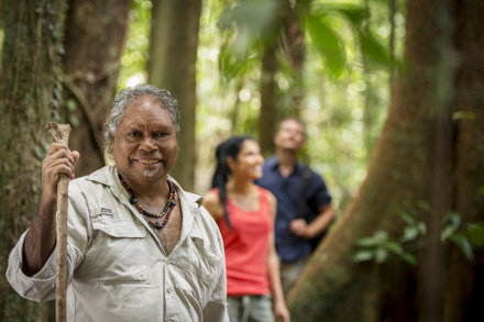 cape tribulation and daintree tour from port douglas