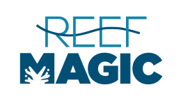 Reef Magic Day Tour