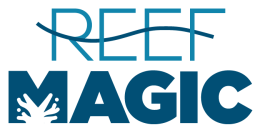 Reef Magic + Hotel Transfers