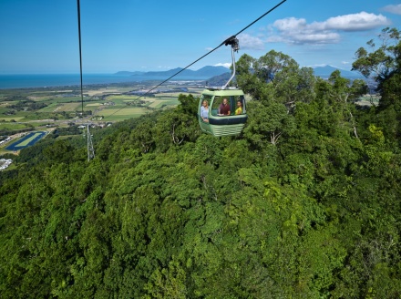 rainforest tour cairns