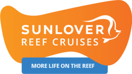 Sunlover | Moore Reef Tour