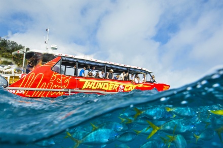 airlie beach tours to whitehaven