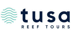 Tusa Reef Tours | All Inclusive