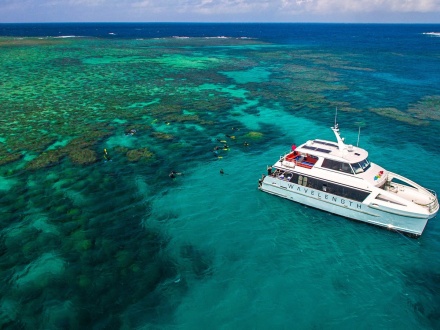 reef trip port douglas