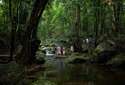 daintree rainforest tourism impacts