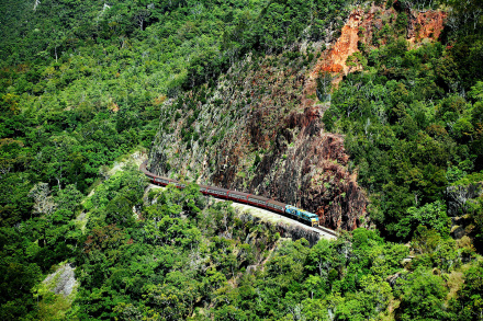 port douglas wildlife tours