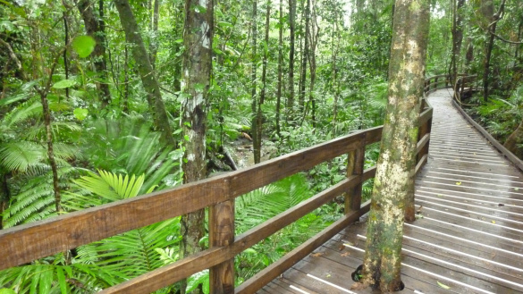 Jindalba Boardwalk