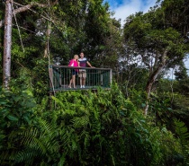 Skyrail Boardwalk Station Lookout