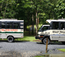 Daintree, Cape Tribulation & 4WD Bloomfield Track WITH Billy Tea Safaris 