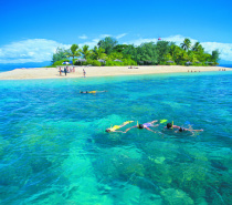Snorkeling at Low Island