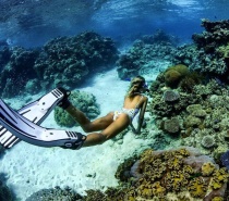 Snorkel on the Great Barrier Reef with Evolution