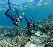 Ocean Freedom’s professional crew of qualified dive instructors will introduce you to the wonderful world of scuba diving on the amazing Great Barrier Reef