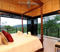 The Cassowary ~ Master Suite 1