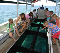 Green Island: Glass bottom boat tour
