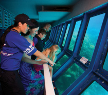 Outer Reef: Inside the underwater observatory