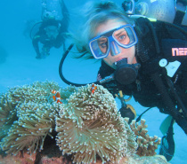Scuba diving at the Outer Reef