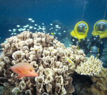 Outer Reef: Scuba-Doo underwater scoooter
