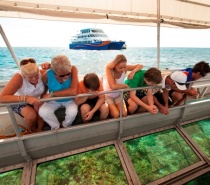 Glass Bottom Boat