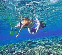 Snorkelling