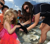 Touch tank