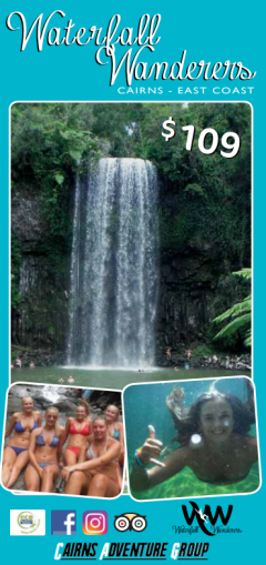 Kuranda Half Day Tours Tourism Town The Tourism Marketplace