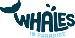 Whales in Paradise
