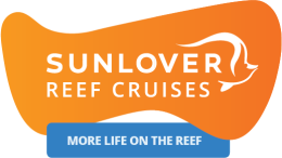 Sunlover Reef Cruises