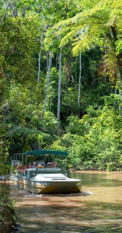 Train Skyrail & Rainforestation