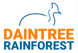 daintree rainforest logo
