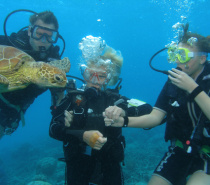 Great Barrier Reef Marine Encounters