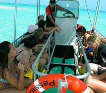 Glass Bottom Boat Tours