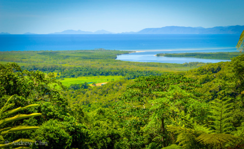 Alexandra Lookout