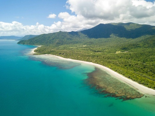 Cape Tribulation